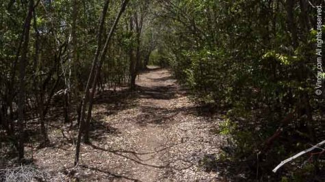 Brown Bay Trail